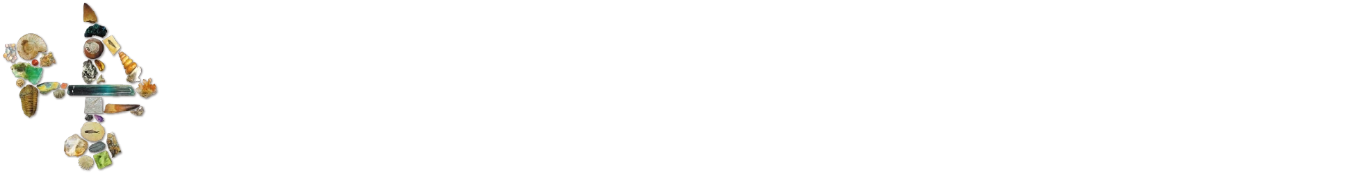 株式会社　大江理工社｜地球の鉱物｜化石｜岩石