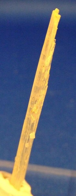 写真はA