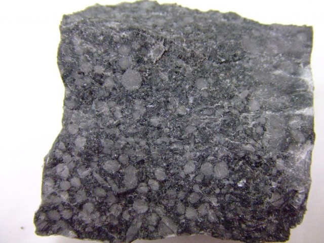 紡錘虫石灰岩　　