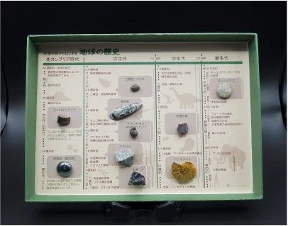 地質年代標本「地球の歴史」