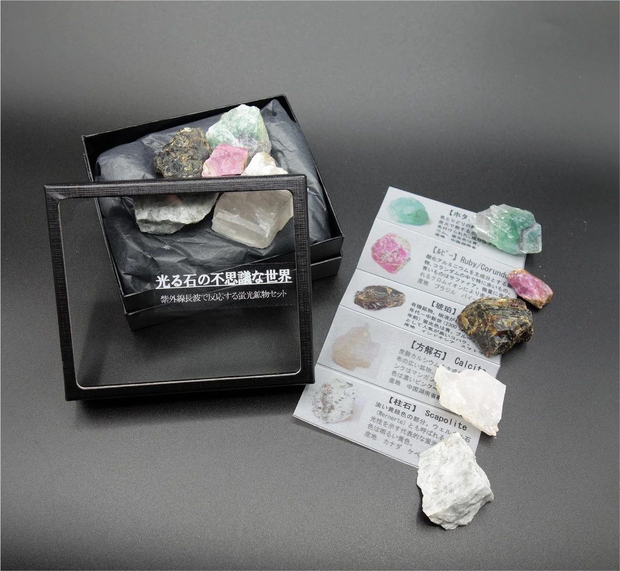 蛍光鉱物 観察セット「光る石の不思議な世界」